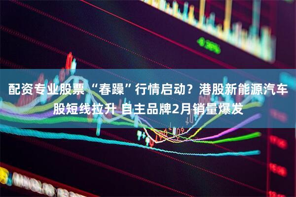 配资专业股票 “春躁”行情启动？港股新能源汽车股短线拉升 自主品牌2月销量爆发